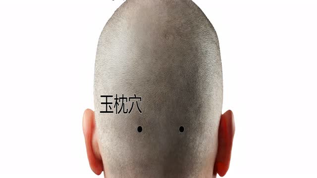 玉枕的准确位置图 腾讯网