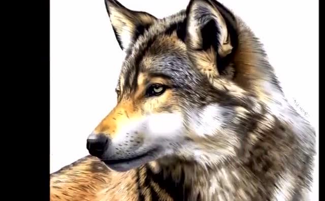 好真实的一头狼,竟然是画出来的!