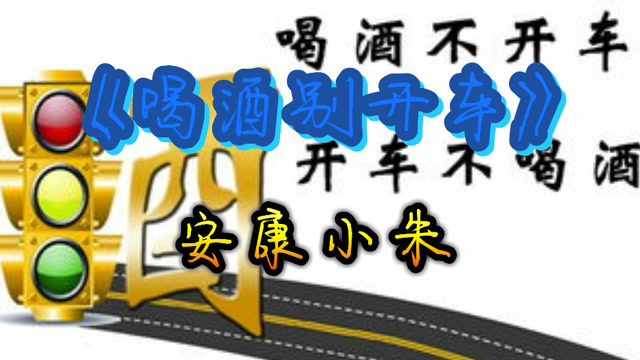 《开车别喝酒》安康小朱