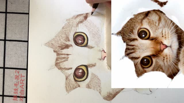 8-萌猫排线毛发2