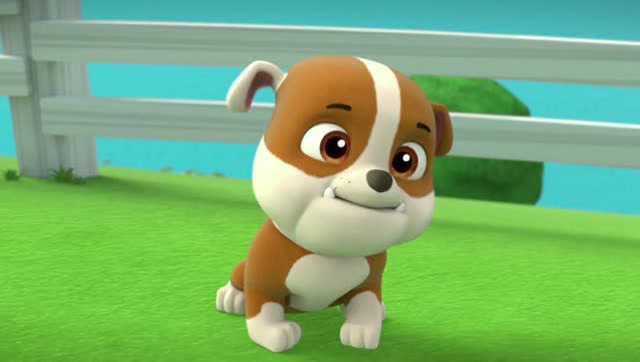 汪汪队立大功:小力靠自己很坚强