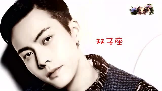 12星座会和哪个男明星牵手双子座是我的偶像呐