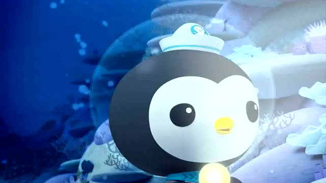 白化座头鲸海底小纵队