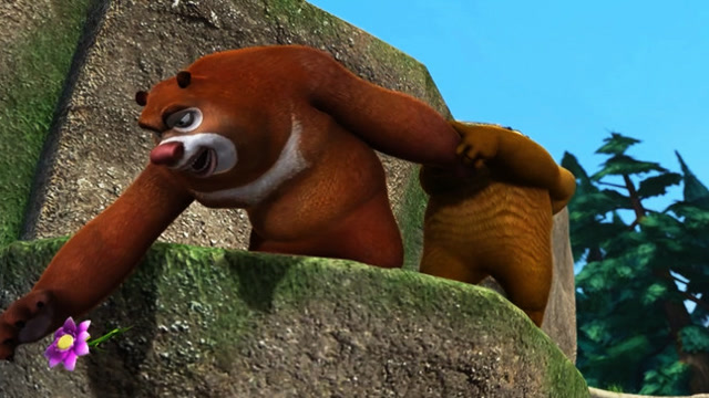 大狗熊为了给翠花,采淑女花,结果悲剧了!