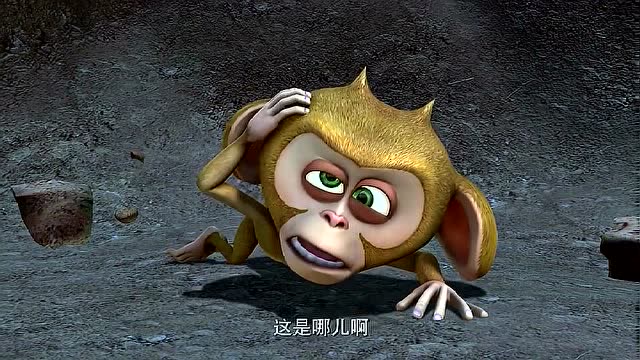 谁知道毛毛的去向?