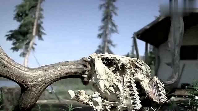 "食人巨蚊"被吸之后瞬间变干尸!