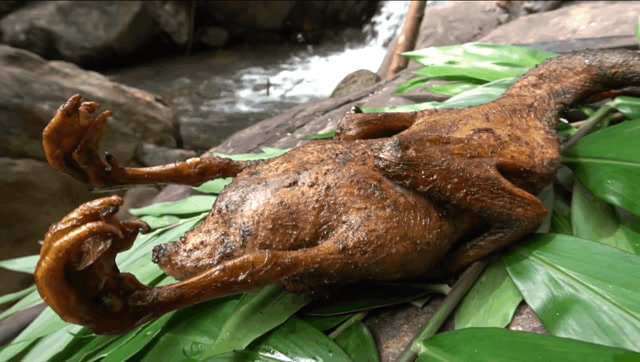 哥俩天天变着法搞吃的,金黄油量的烤鸭吃到嘴,这野外生活滋润
