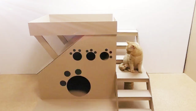 手工diy:猫屋升级!硬纸板简单改造成带楼梯的二层阁楼