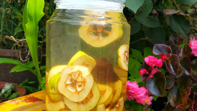 教你自己在家做酸醋,你想象不到的简单,关键是酸味纯无添加!