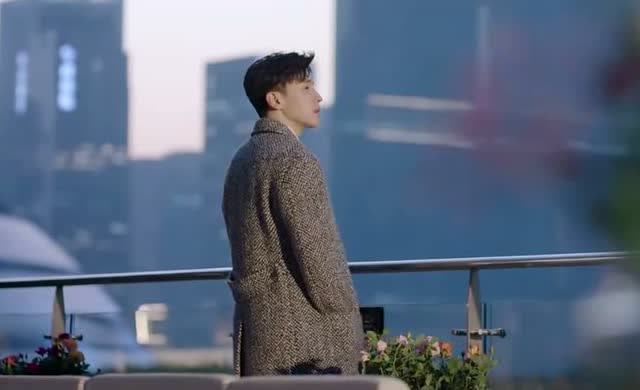 一千零一夜:柏海想让凌凌七给自己做饭.