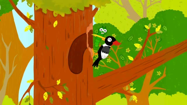 动物小百科 森林的医生啄木鸟