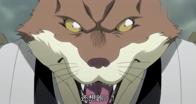 死神:狛村队长使出卍解黑绳天谴明王 黑崎一护将如何应对?