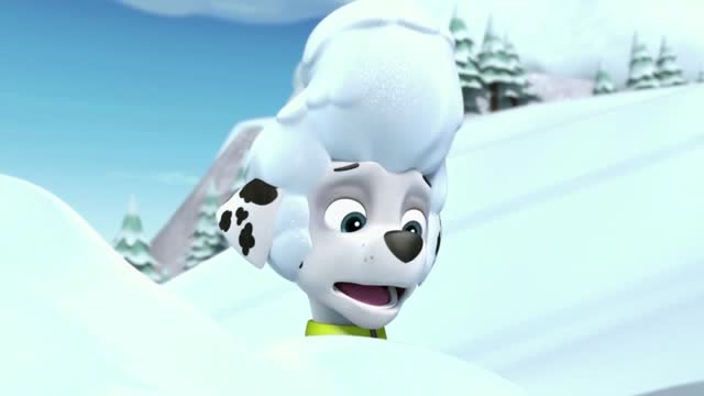 汪汪队:毛毛和莉莉相亲相爱,在雪中翻滚