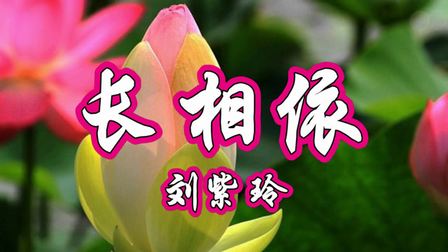 经典老歌,刘紫玲演唱《长相依》好听醉人