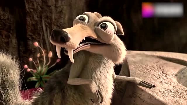 鼠奎特放弃女朋友重新选择橡果,理由很现实