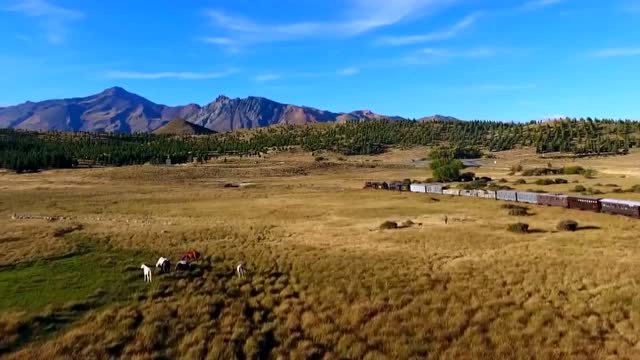 魅力阿根廷中的潘帕斯草原