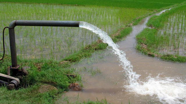 农村很常见的小型抽水机,农民灌溉农田必不可少