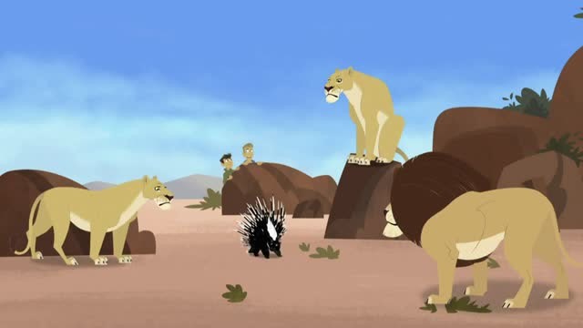 动物兄弟:刺头经过三个狮子的身边,狮子拿刺头一点办法也没有