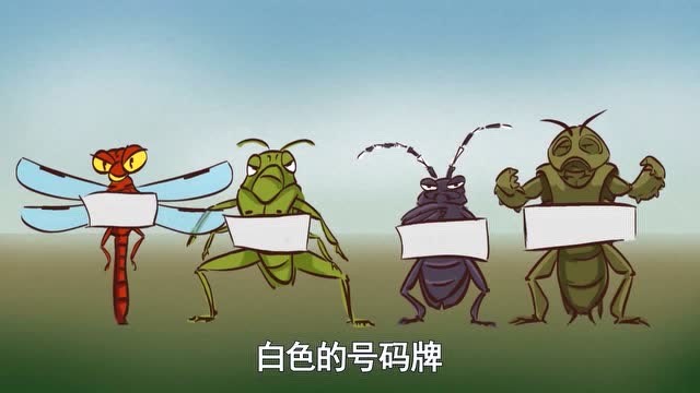 茶啊二中昆虫界铁人三项运动会蝲蝲蛄不仅能飞行还能打洞遁地