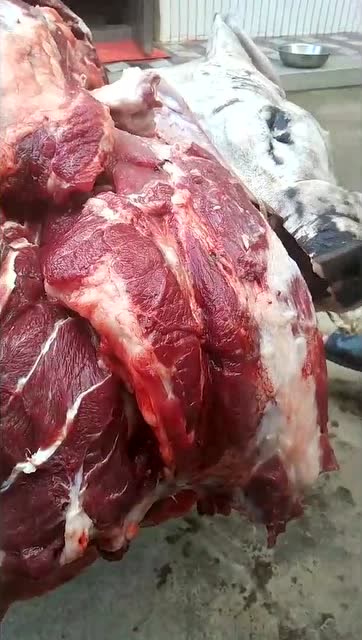 好吃的山猪肉