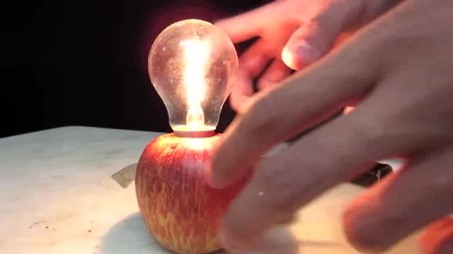 奇人自制小发明,想不到苹果加磁铁也能发电,牛人用苹果点亮白炽灯