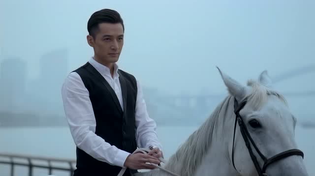 我是被这匹马帅晕了