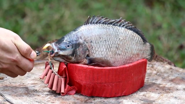 男子用100多个鞭炮炸鱼,炸得鱼直冒烟,网友:你考虑鱼的感受吗