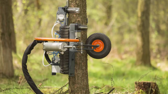 牛人发明大树理发机,自动爬树修剪树枝,用处太大了!