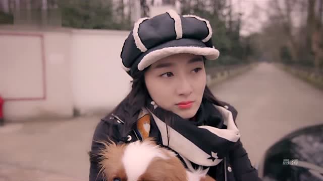 苏畅抱养了一只狗,说是自己儿子,竟被唐果果调侃是自己生的