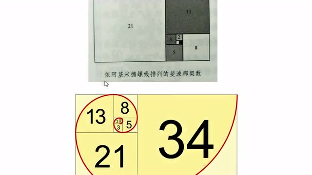 斐波那契的兔子和数列