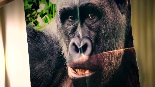 《新喜剧之王》女孩本想整成西方白雪公主,没想到差点变成人猿泰山