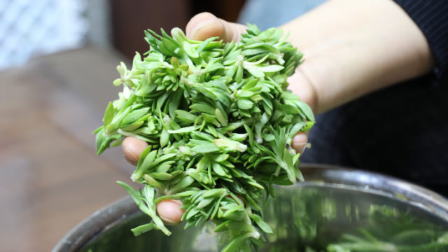 "石头菜"你可能没见过,用它炒鸡蛋,清香爽口,给红烧肉都不换