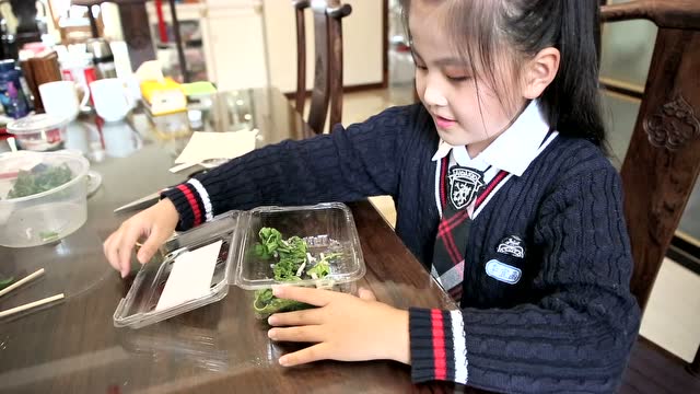 李意涵的养蚕之旅