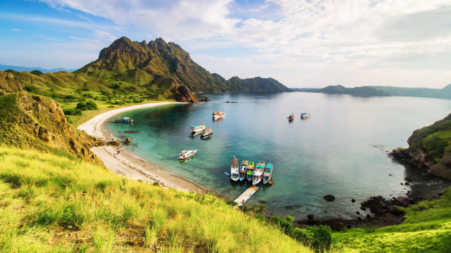 亚洲这座岛屿,生存着1亿年前古生物后代,如今不到100只