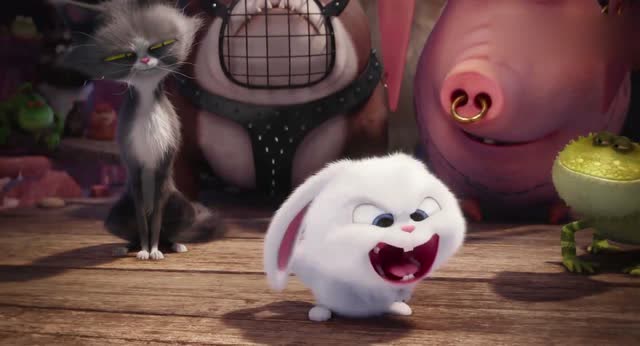 小兔兔太开心,当着手下面不小心大便的表情,好可爱呀!