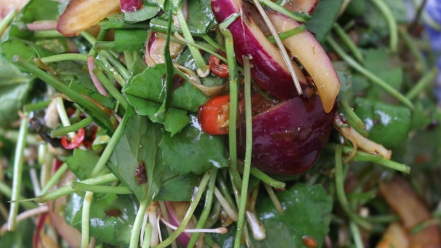 在炎炎的夏日,教你做一道"凉拌雷公根"送饭送粥,真的非常棒