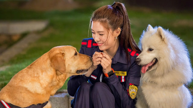 神犬小七3宋妍霏化身女汉子奔赴救援现场跟戏外形成反差萌