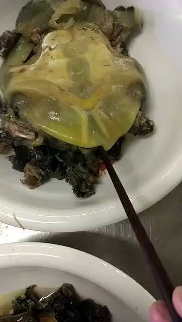 出去吃甲鱼要注意看看有没有这两根牙签骨!