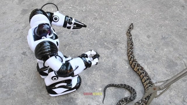 蟒蛇机器人图片