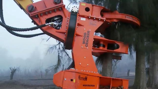 世界最强"拔树机",拔树就像拔草,一台能砍完一片森林!