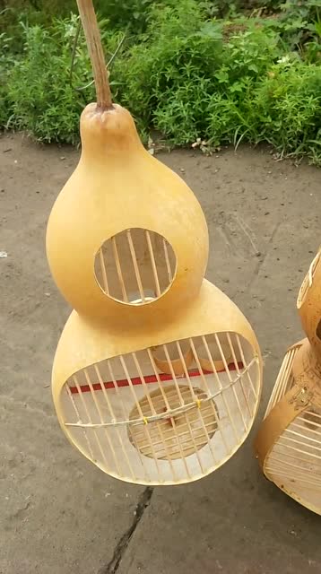 小伙用葫芦新做的鸟笼,这外观也是没谁了,我都想当小鸟住进去了