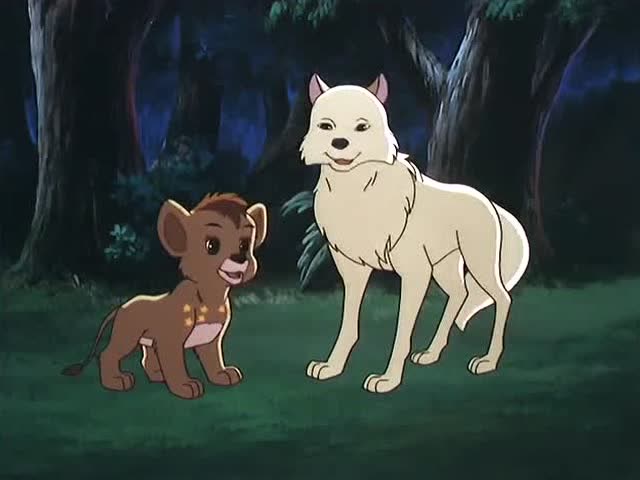 狮子王辛巴将会是未来森林之王狼妈妈为他感到开心