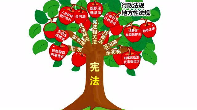 第二课保障宪法实施第一框坚持依宪治国