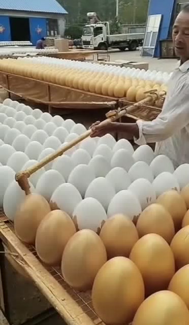 大家都去砸过金鸡蛋吗,有没有想中一等奖的,偷偷告诉我给你们做个记号