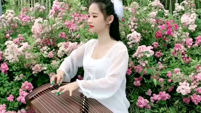 美女古筝弹奏《万爱千恩》,走心入情,曲调催人泪下!