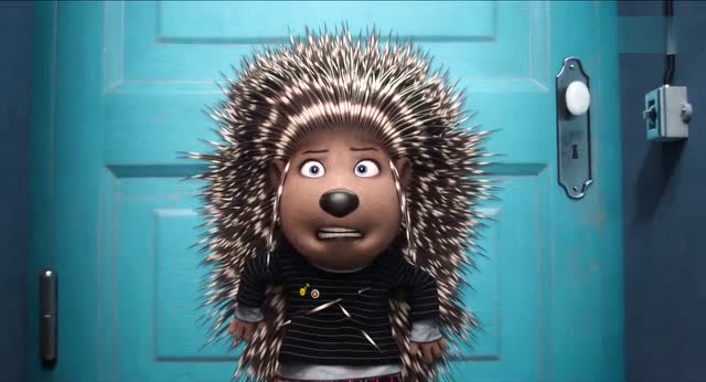 《欢乐好声音》刺猬先生背叛刺猬小姐被赶出家!