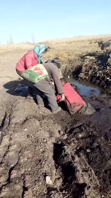 陷入沼泽的人,这要是发现晚了,后果不堪设想!