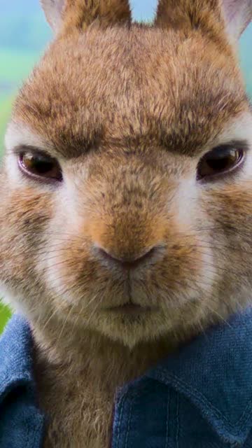 现在模仿领域真是越来越广泛了,兔子成精了,模仿赌神有模有样