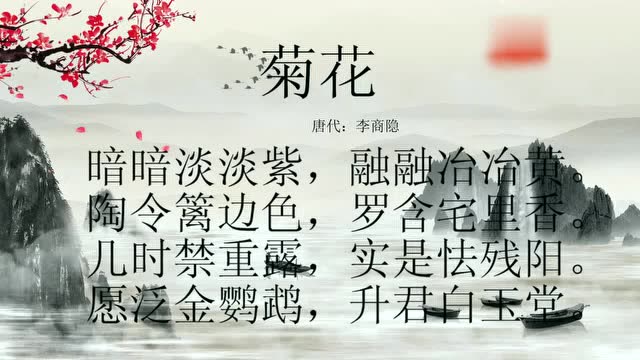 古诗朗诵李商隐菊花愿泛金鹦鹉升君白玉堂