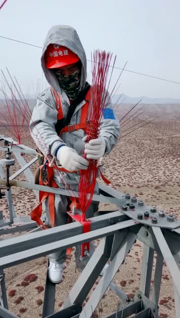 超高压线路上安装防鸟刺,我还是第一次见,让我大开眼界